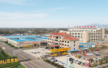 視覺(jué)升級(jí) | 聚焦0添加，豆黃金開(kāi)啟品牌煥新！